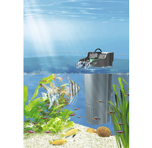 Aquarium avec filtre interne, poissons et plantes
