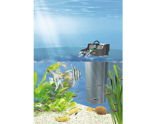 Aquarium avec filtre interne, poissons et plantes
