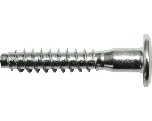 Vis à bois à tête bombée