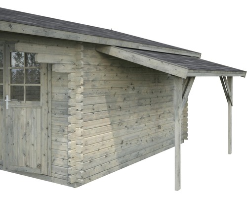 Abri de jardin en bois avec auvent et porte