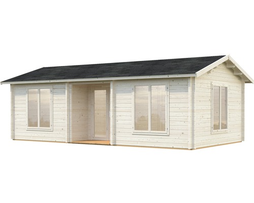 Abri de jardin en bois avec fenêtres et porte