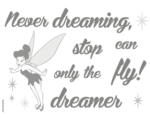 Wandtattoo Disney Edition 4 Never Stop dreaming 50 x 70 cm