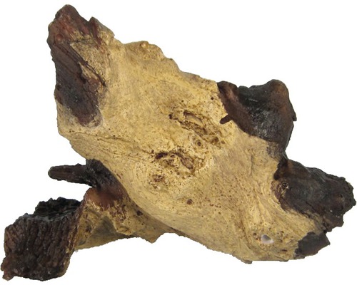 Aquariumdekoration Mopani Wurzel nano Aquariumdekoration Mopani Wurzel nano