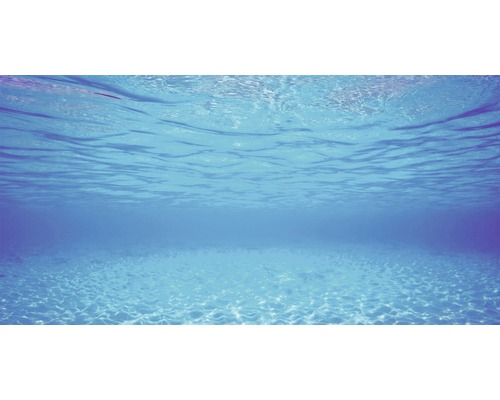 Vue sous-marine avec fond sablonneux