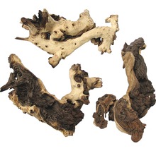 Trois morceaux de bois flotté pour aquariums