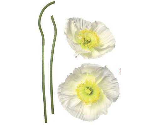 Sticker mural motif coquelicot