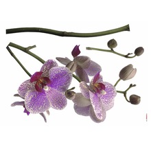 Wandtattoo Sticker Orchidee 3-tlg. 100x70cm-thumb-2