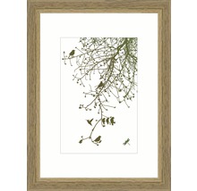 Gerahmtes Wandbild mit Vogel- und Baumdesign