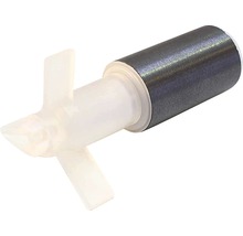Magnetrührer mit Rührfisch