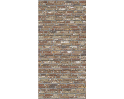 Mauer aus Ziegelsteinen