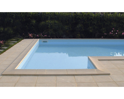 Piscine rectangulaire avec bordure en pierre dans le jardin