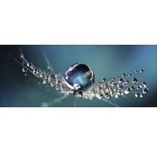 Tableau sur verre Drop On Water 30x80 cm