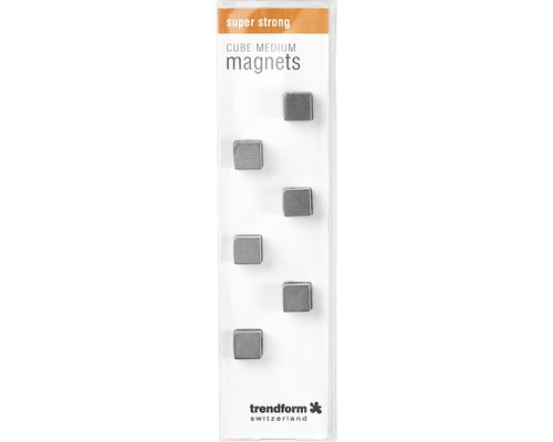 Sechs würfelförmige Magnete in einer Verpackung