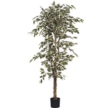 Kunstpflanze Ficus Hawalli, grün-thumb-0