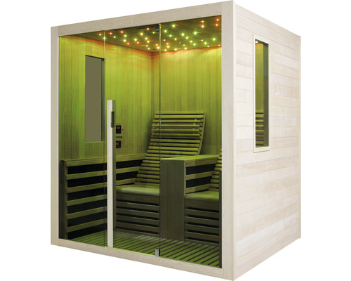 Sauna d''intérieur avec façade en verre et bancs en bois