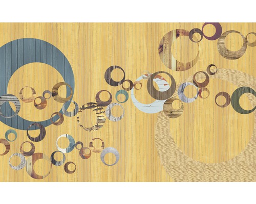 Papier peint panoramique intissé 6015A-VD4 Infinity United 4 pces 400 x 250 cm Panneau décoratif en bois avec motif de cercles pour la décoration murale