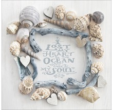Dekoration mit Muscheln, Treibholz und Herzen umrahmt einen Spruch