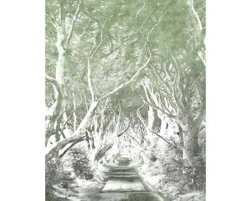Papier peint panoramique intissé 6024B-VD2 Alley Graphite 2 pces 200 x 250 Allée avec des arbres
