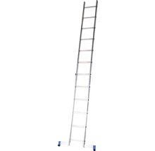 Aluminium Anlegeleiter mit zwölf Sprossen