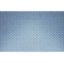 Papier peint à motif d''écailles