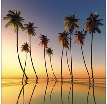 Illustration von Palmen am Strand
