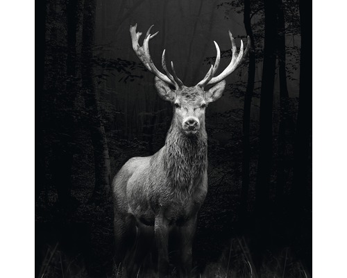 Glasbild Grey Deer Head 20x20 cm