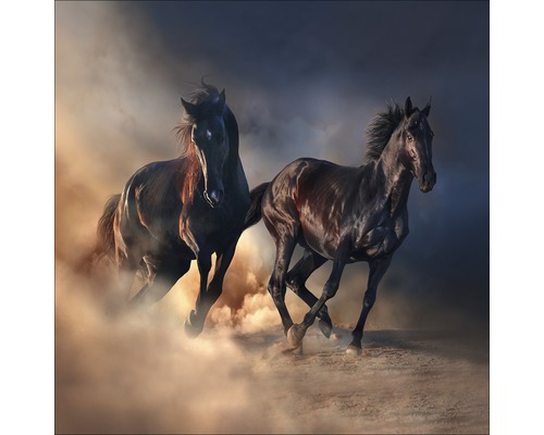 Tableau sur verre Two running Horses 30x30 cm