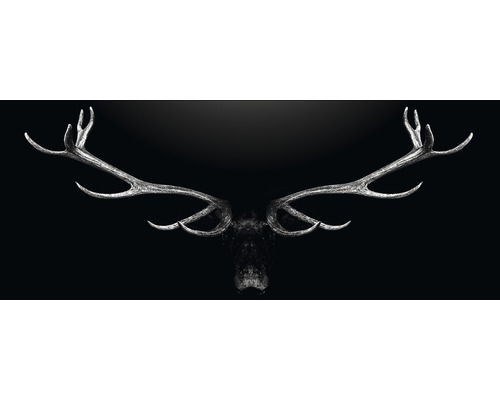 Tableau sur verre Deer Antler 30x80 cm