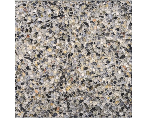 Beton Terrassenplatte Waschbeton grau 50 x 50 x 3.8 cm