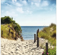 Dekoratives Bild mit Pfad zum Strand mit Dünen