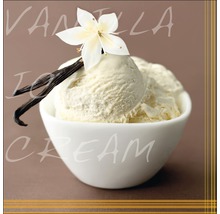 Vanilleeis in einer Schale mit Vanilleblüte und Vanilleschoten