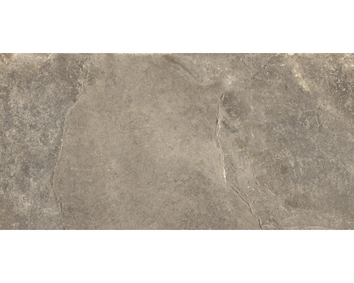 Wand- und Bodenfliese Schiefer taupe 30x60 cm Fliesenmuster aus Steinzeug