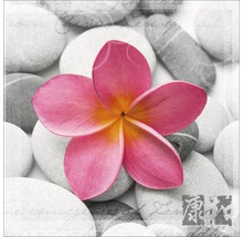 Glasbild Wellness Flowery I 30x30 cm