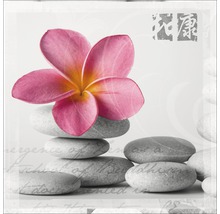Dekoration mit Blume und Steinen