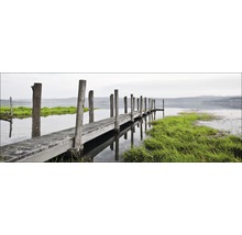 Holzsteg am See mit grünen Pflanzen