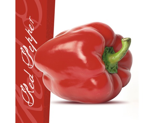 Glasbild Red Pepper 30x30 cm