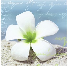 Dekoratives Bild einer Blume auf Sand
