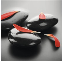 Schwarze Kieselsteine mit Blütenblättern