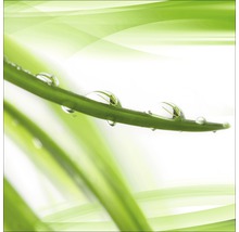 Grashalm mit Wassertropfen