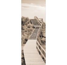 Holzsteg mit Treppe in Dünenlandschaft