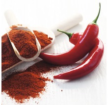 Rote Chilischoten und Chilipulver in Holzlöffeln