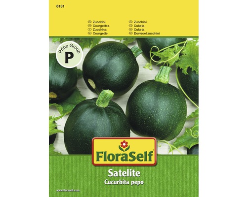 Zucchini 'Satelite' FloraSelf F1 Hybride Gemüsesamen