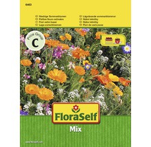 FloraSelf Mischung aus niedrigen Sommerblumen Samenpackung