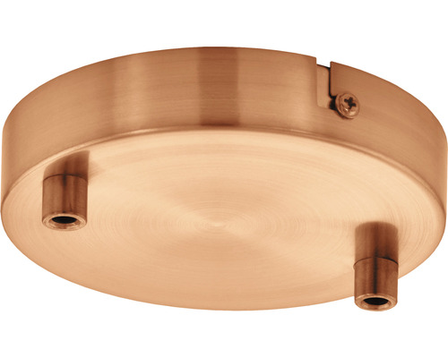 Fixation de plafond pour luminaires