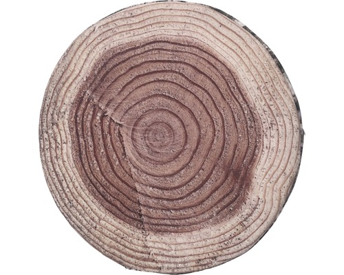 Baumscheibe mit Jahresringen