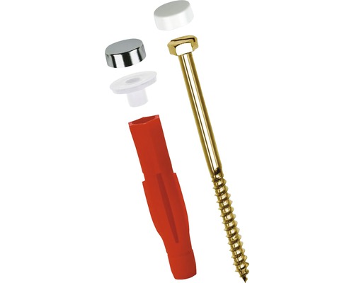 Schraube mit Dübel und Abdeckkappe