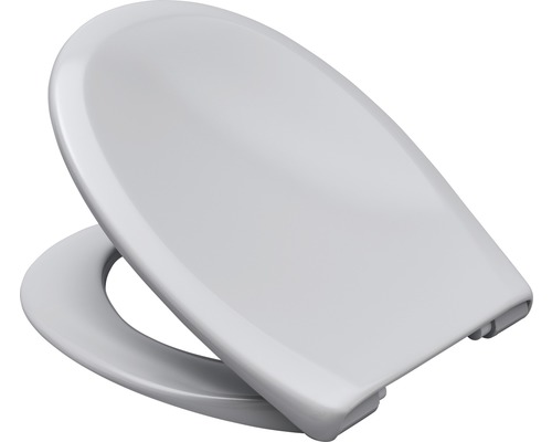Toilettendeckel aus Kunststoff