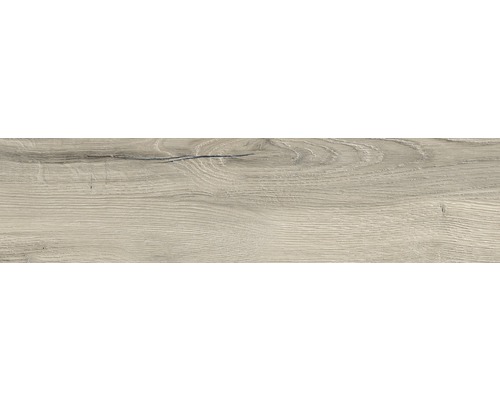 Wand- und Bodenfliese Aretino greige 15x61 cm R11