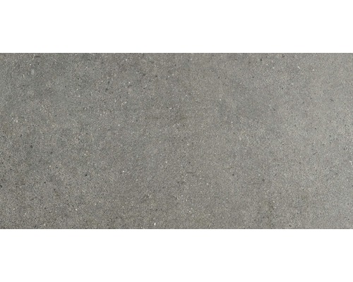 Carrelage sol et mur grès gris 30x60 cm
