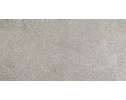 Carrelage sol et mur grès gris clair 30x60 cm